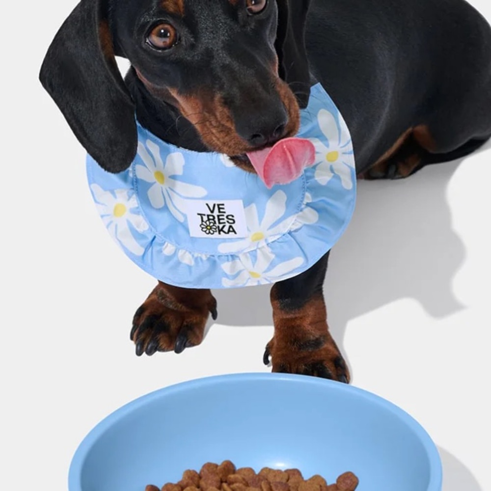 VETRESKA NYC DAISY PRINT BIB FOR DOGS OR CATS IN BLUE OS - Picture 5 of 5